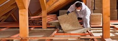 Best Attic Insulation Installation  in Davis Junction, IL